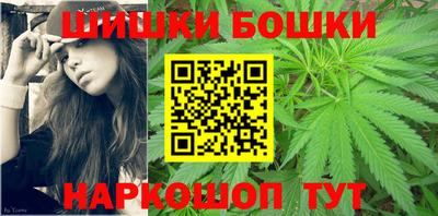 винт Новозыбков