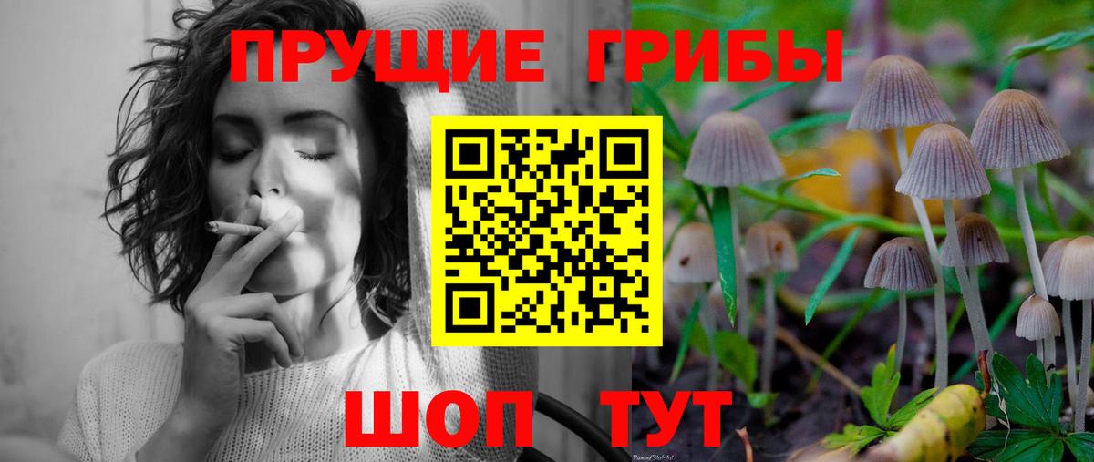 Галлюциногенные грибы Psilocybe Солнечногорск